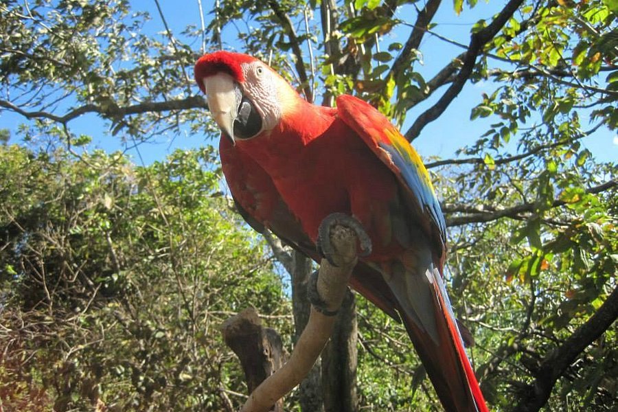 Refugio Animal de Costa Rica image
