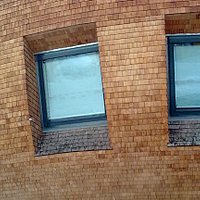 Window and wooden walls