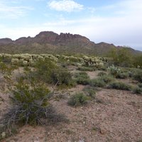 Vulture Peak Trail (Wickenburg) - All You Need to Know BEFORE You Go