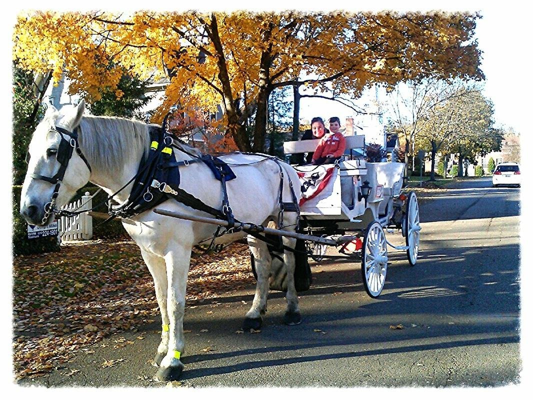 Ladybug Ranch (Chagrin Falls) - All You Need to Know BEFORE You Go