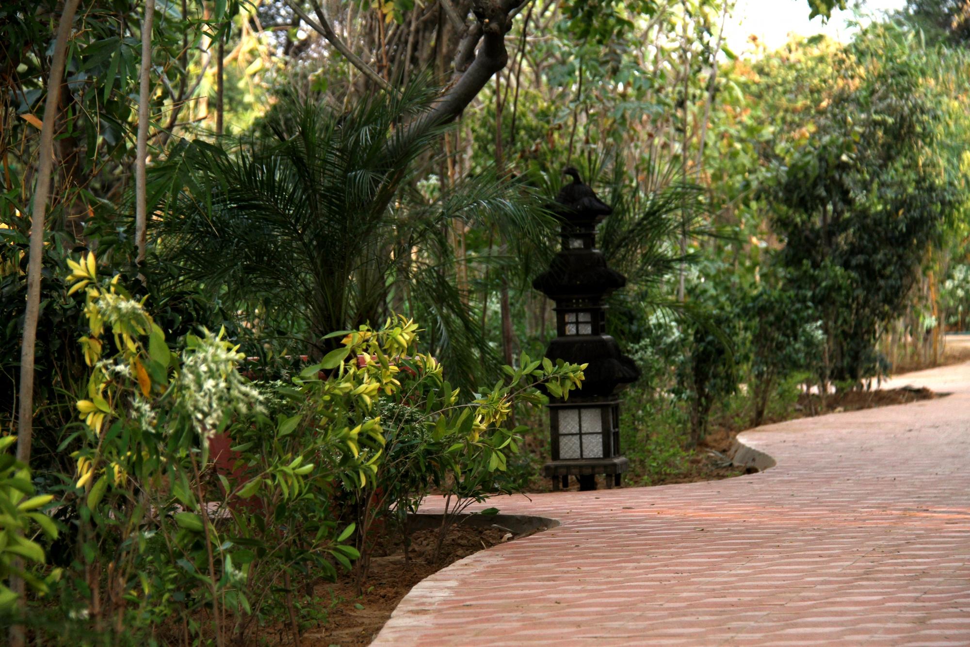 Hotel photo 36 of The Tree House Resort.