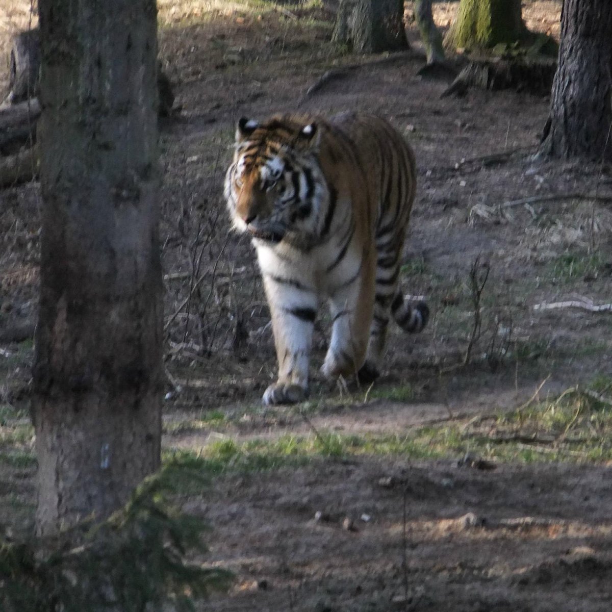 Zoo eberswalde eintritt