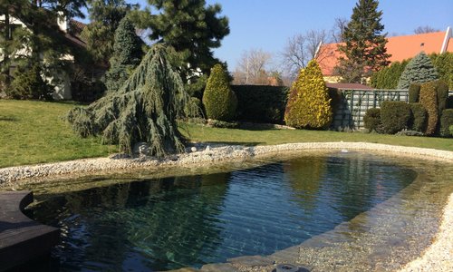 amazing garden