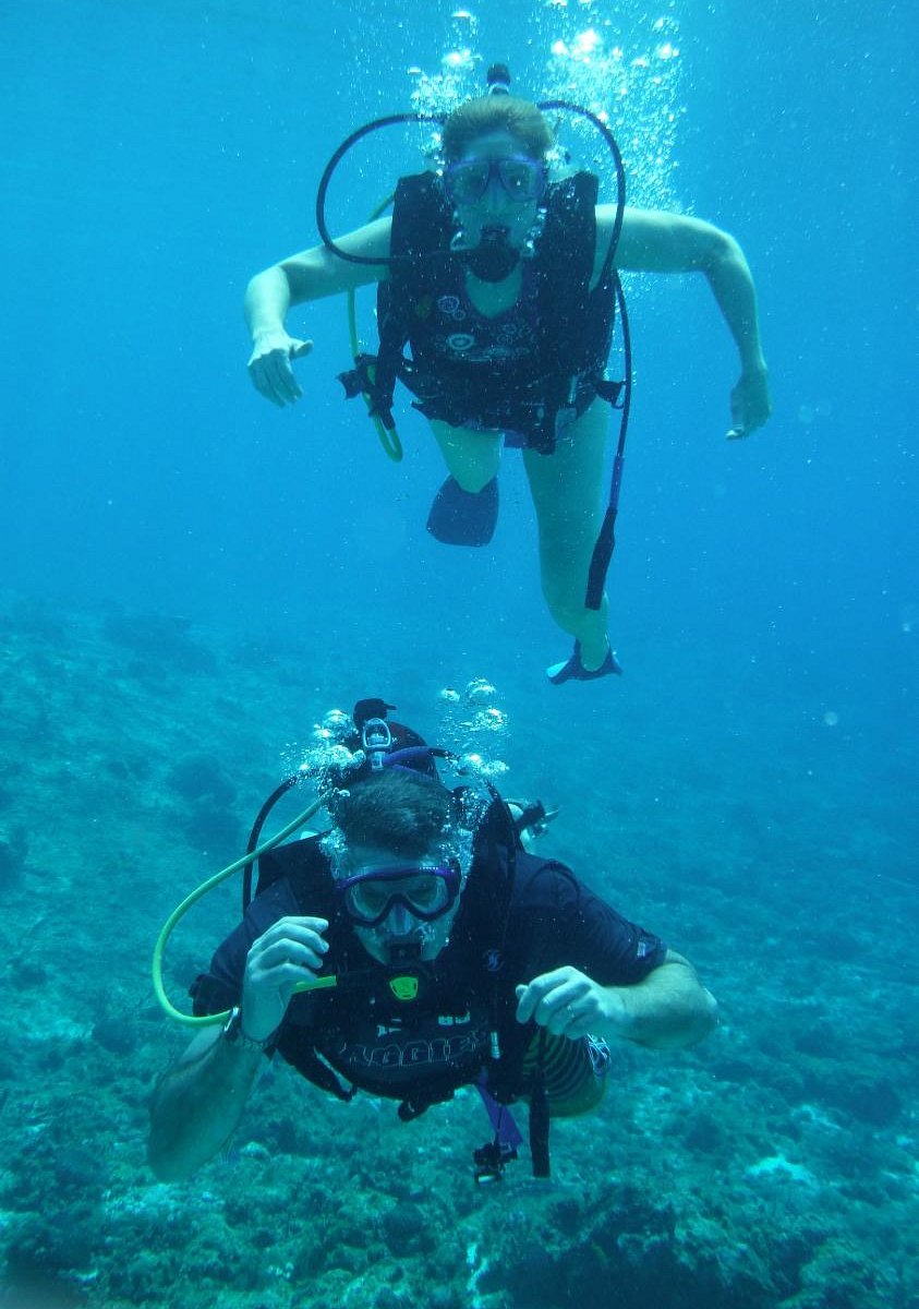 Cozumel Diving and Parasailing - 2023 Lo que se debe saber antes de viajar  - Tripadvisor