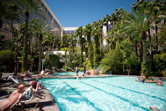 Pool waterslide - Picture of Flamingo Las Vegas Hotel & Casino - Tripadvisor