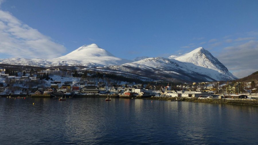 Lyngseidet