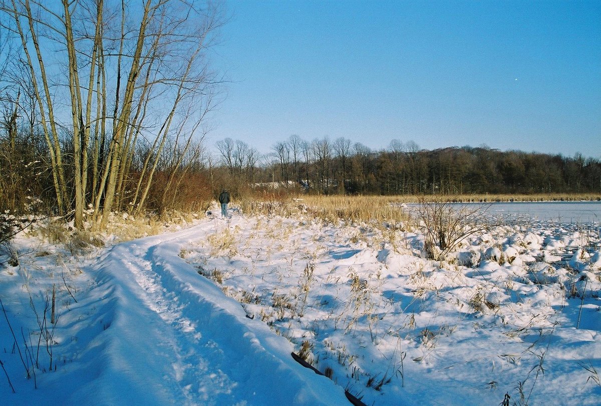 Step Into a World of Wonder: Exploring Ohio's Hidden Gem, Herrick Fen State Nature Preserve