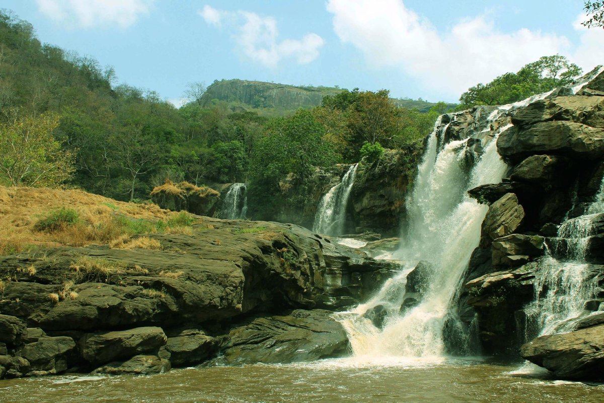 Chinnar Wildlife Sanctuary (Munnar) - 2022 Alles wat u moet weten ...