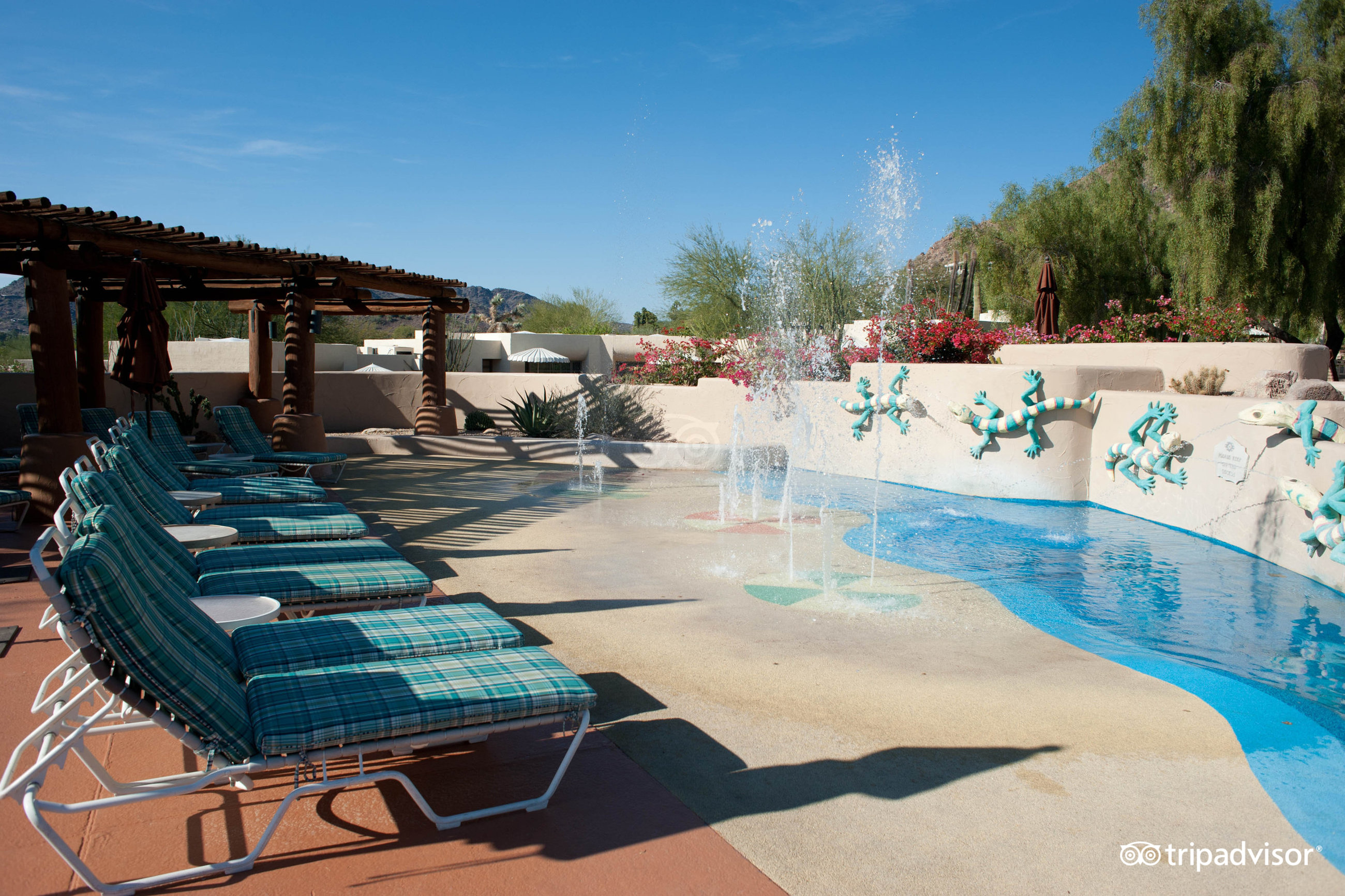 JW Marriott Scottsdale Camelback Inn Resort Spa Pool Pictures   Pool  V1449502 85 