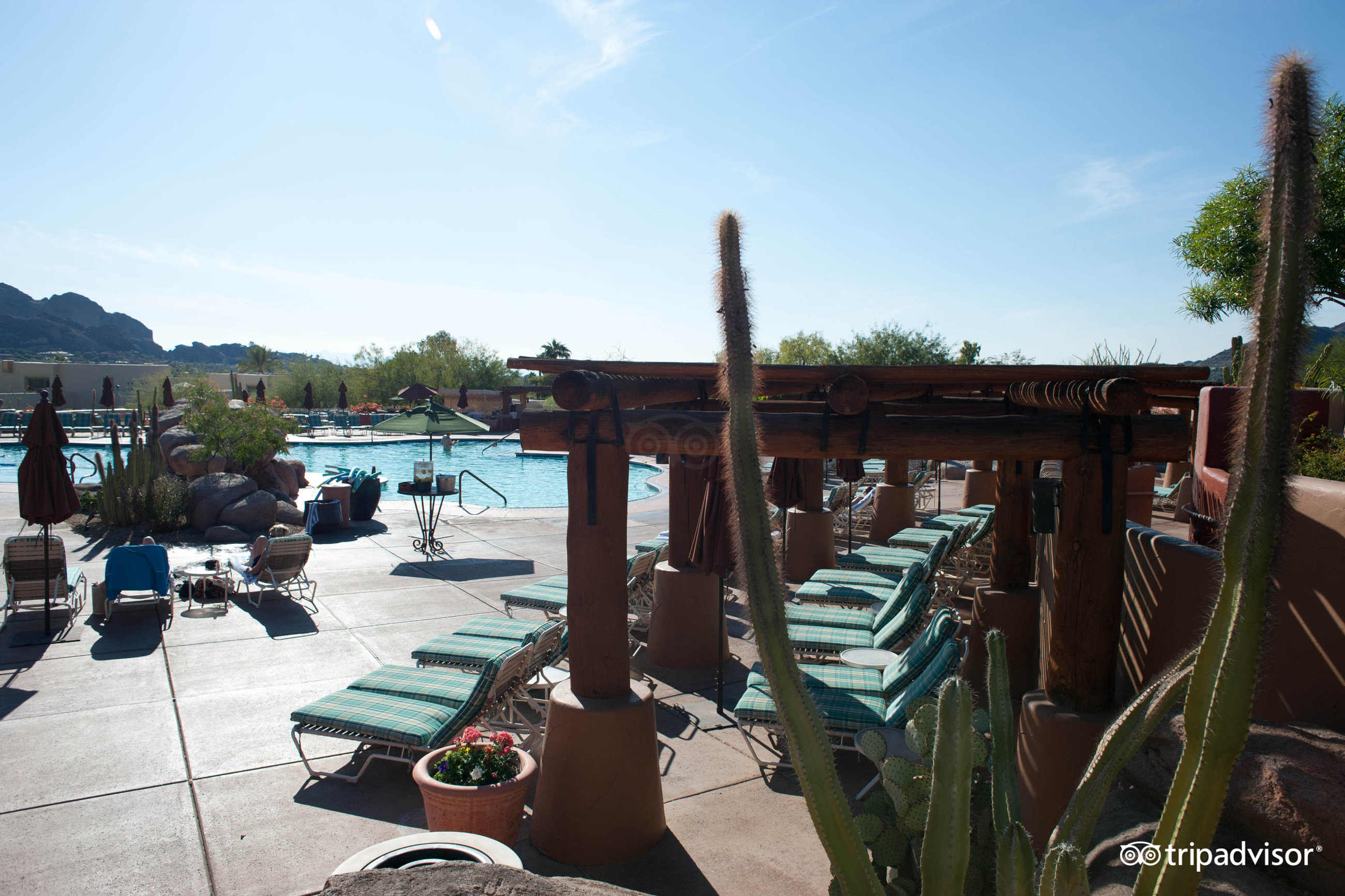 JW Marriott Scottsdale Camelback Inn Resort Spa Pool Pictures   Pool  V1449514 85 