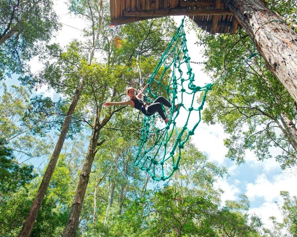 TreeTops Central Coast (2025) - All You Need to Know BEFORE You Go (with Trusted Reviews)
