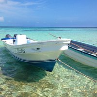 Goff's Caye (Belize Cayes) - All You Need to Know BEFORE You Go