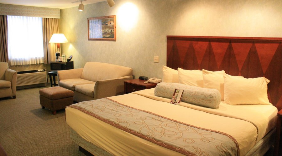 Presidental Deluxe Room with One King Bed