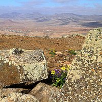View from Morro Velosa Statues
