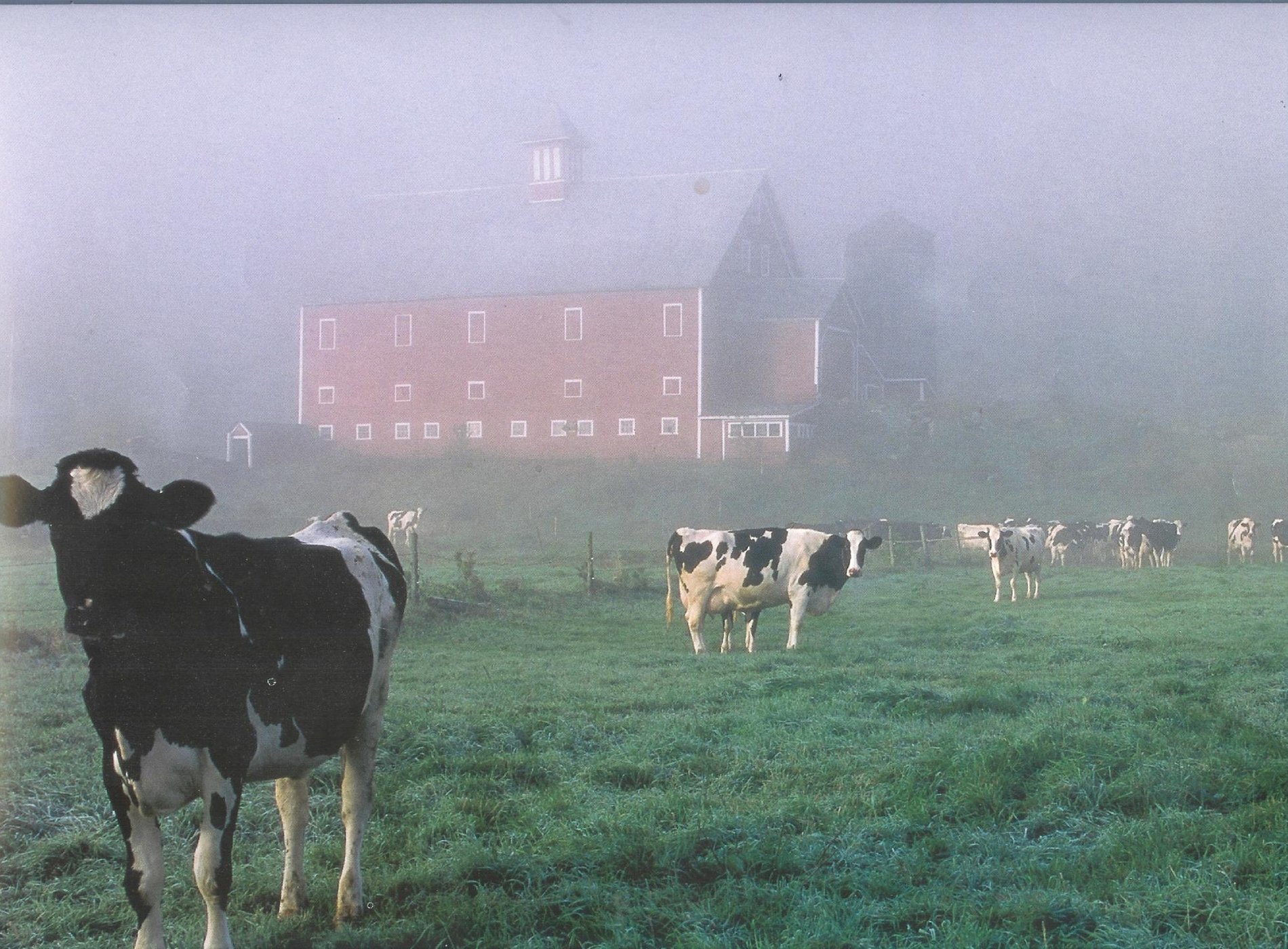 Liberty Hill Farm by null