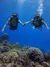 DivePalancar