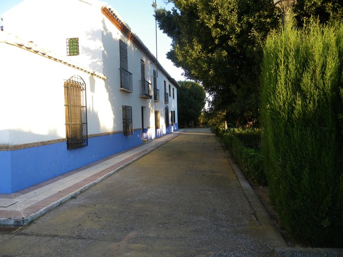 Imagen 9 de Hotel El Cortijo de Daimiel