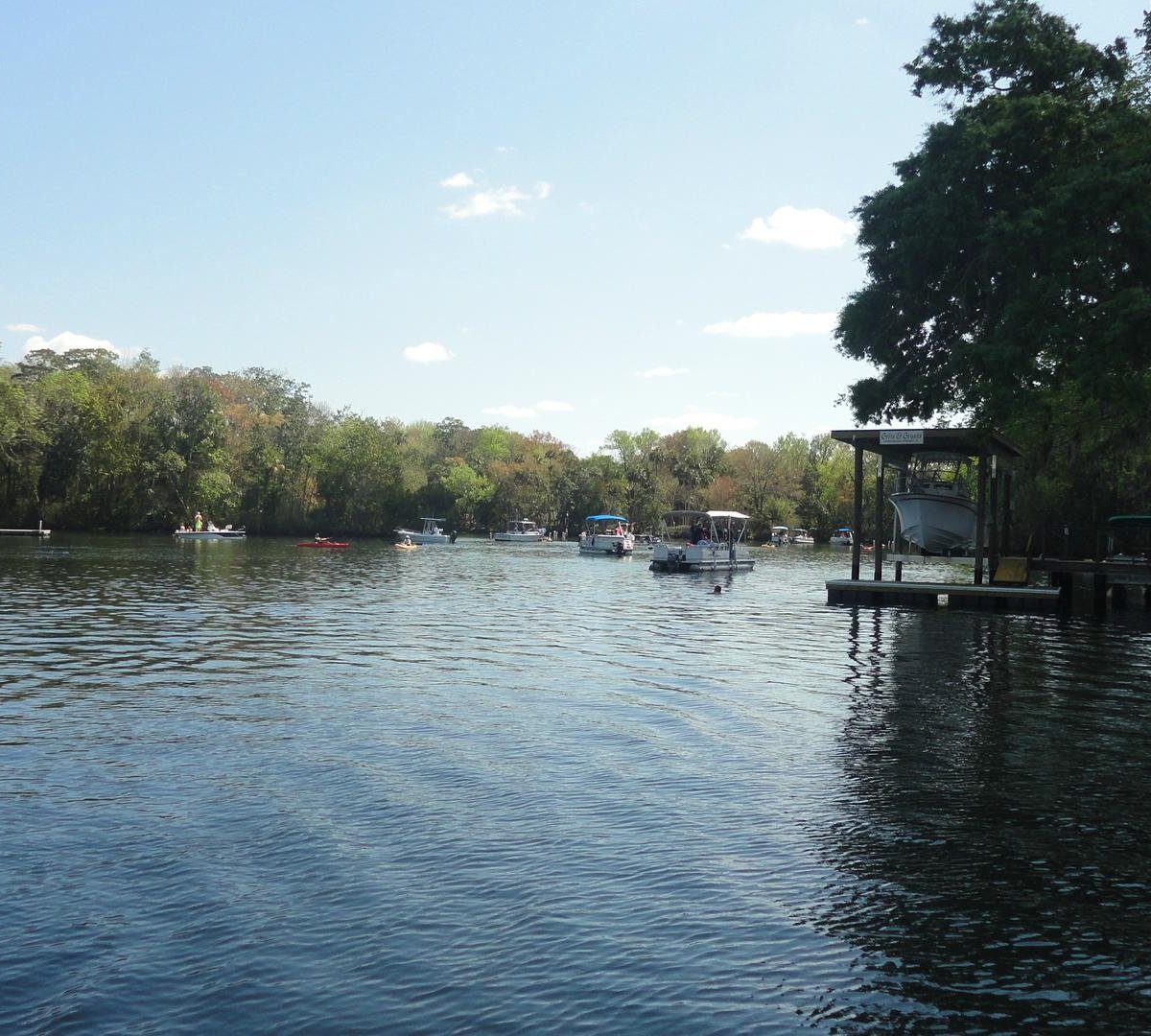 Homosassa River - All You Need to Know BEFORE You Go (2024)