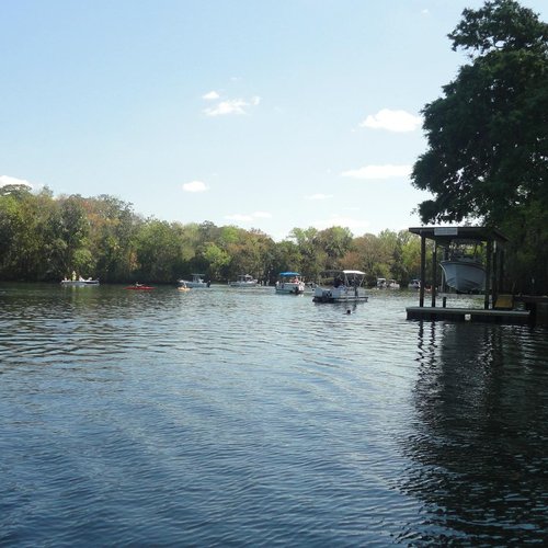 Top 10 Things To Do Good For Couples In Homosassa Florida Fl