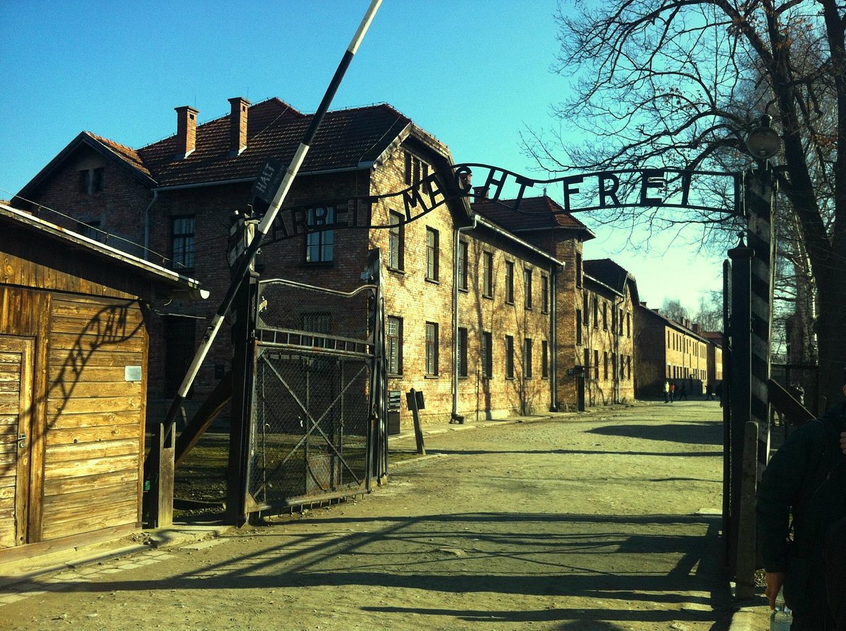 auschwitz tour tripadvisor