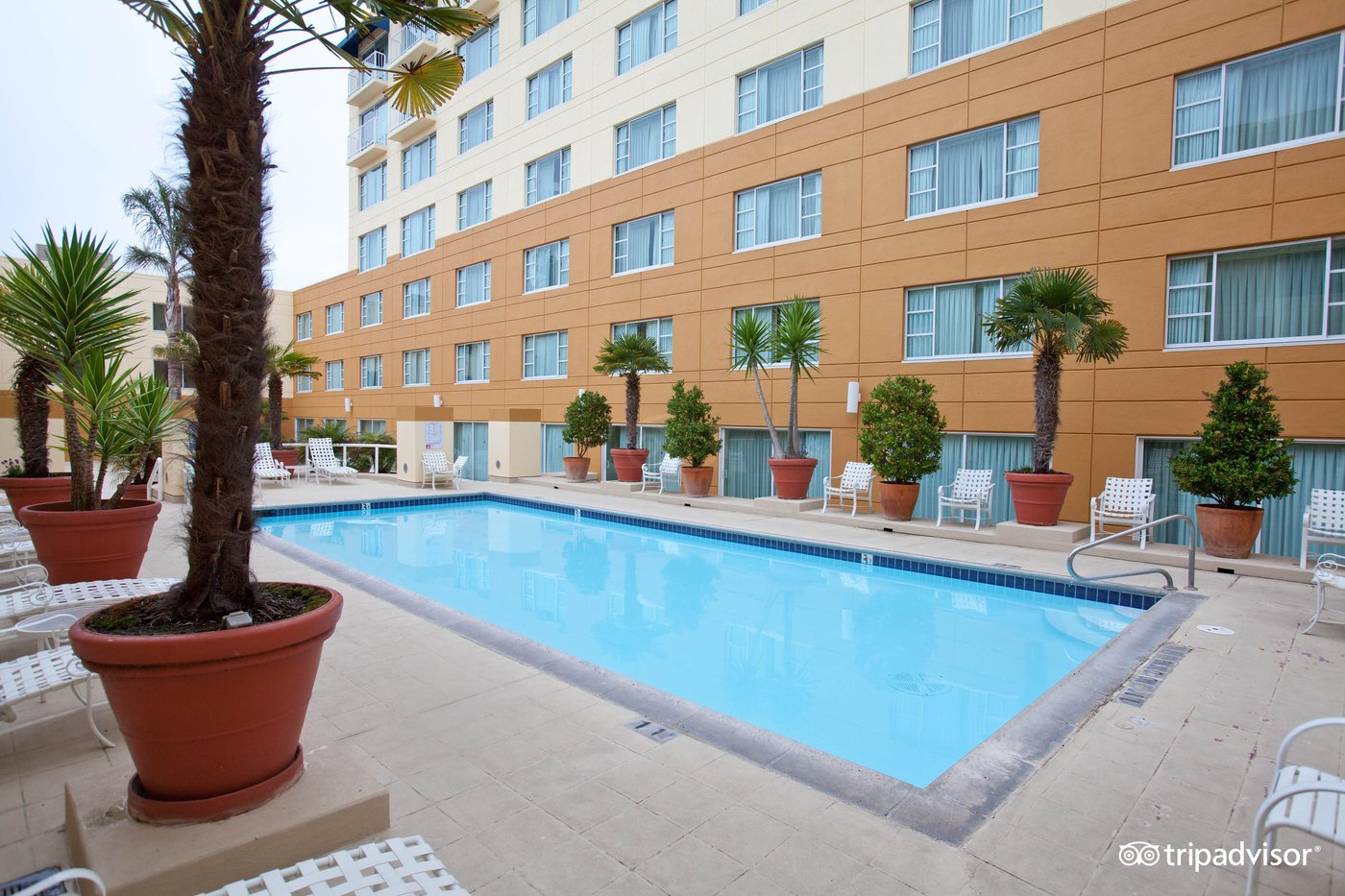 Monterey Marriott Pool: Pictures & Reviews - Tripadvisor