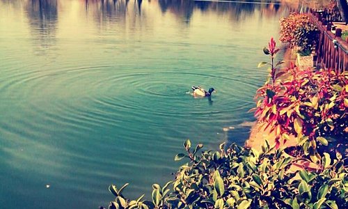 Pegognaga 2021: Best of Pegognaga, Italy Tourism - Tripadvisor