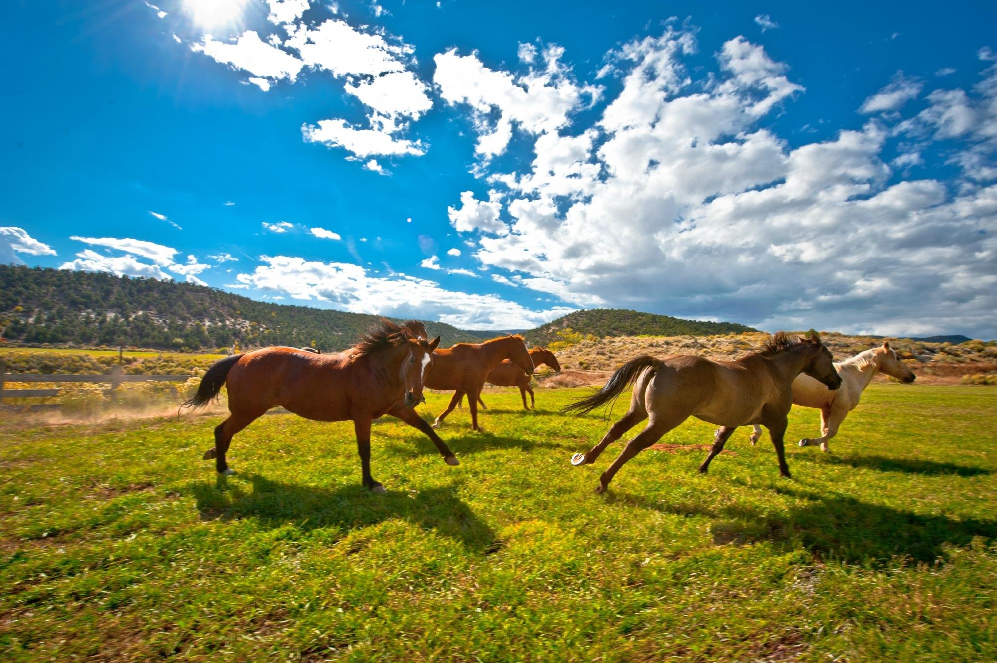 Boulder Mountain Guest Ranch by null
