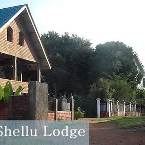 getlstd_property_photo