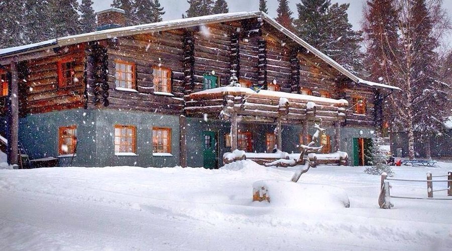 The restaurant