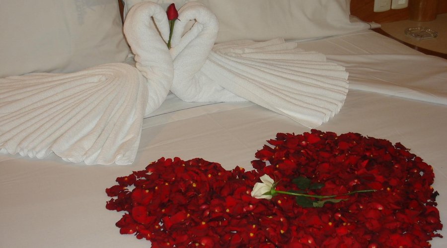cama lunamielera