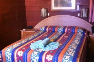 Room & Suite