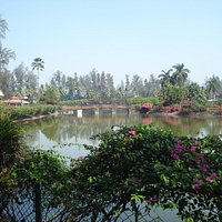 Small lake inside the garden