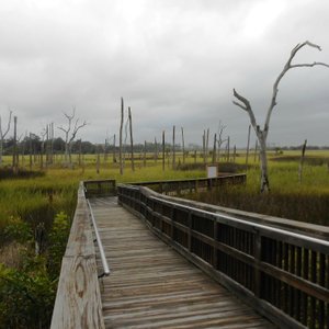 MIKE MCCUE PARK AND BOAT RAMP (Jacksonville Beach) - All You Need to ...