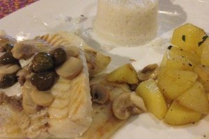 Cibo