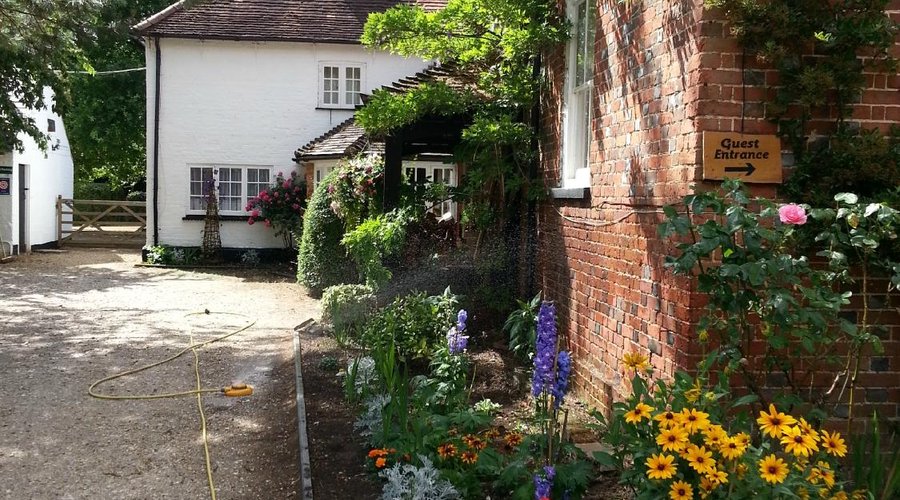 Sheephouse Manor, grounds