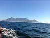 TravelDocKleen11