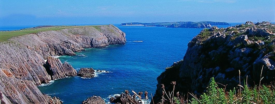 Local Beaches
