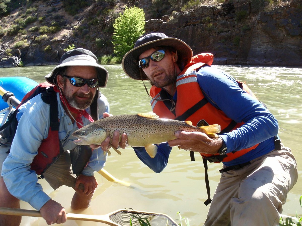 Episode 13: All in a Day's Float - Fly fishing the Colorado River for big  trout by raft 