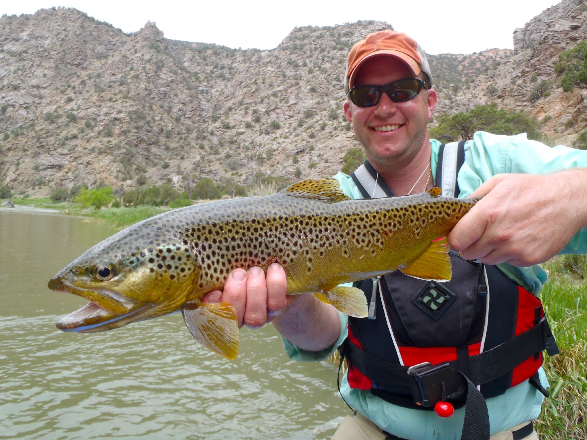 BLACK CANYON ANGLERS Austin Qu SABER Antes De Ir 2024   Black Canyon Anglers 