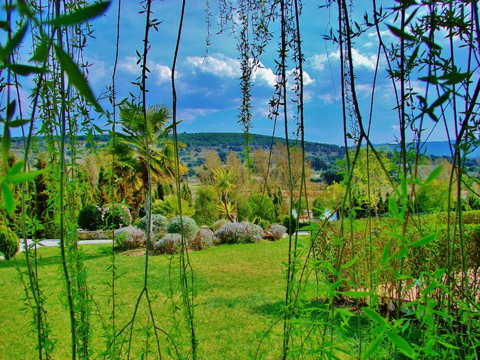 Imagen 8 de La Perla Blanca - Ronda