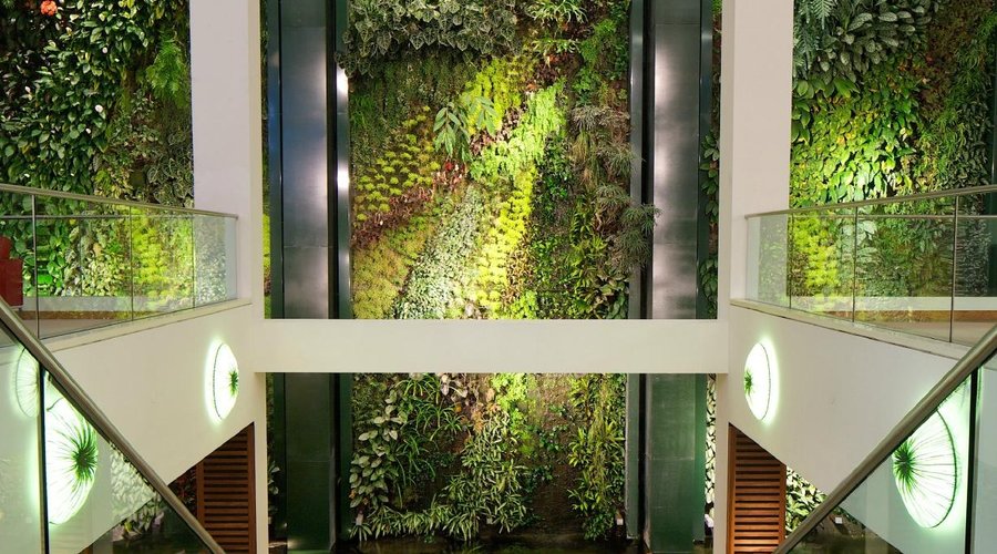Der Vertikale Garten im DussmannHaus All You Need to Know BEFORE You