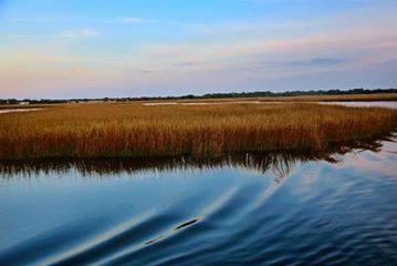 Amelia River Cruises & Charters (Fernandina Beach) - All You Need to ...