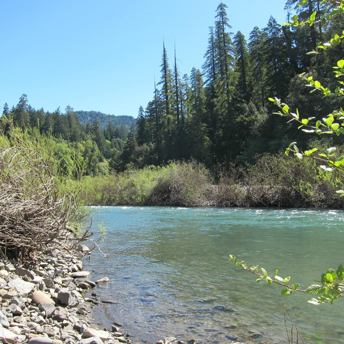 Standish-Hickey State Recreation Area (Leggett) - All You Need to Know ...