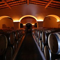 Estremoz Winery