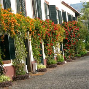Quinta Jardins do Lago in Madeira, image may contain: Resort, Hotel, Villa, Pool