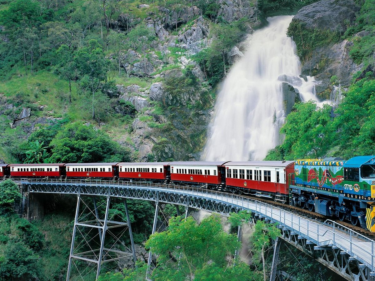 half day tours port douglas