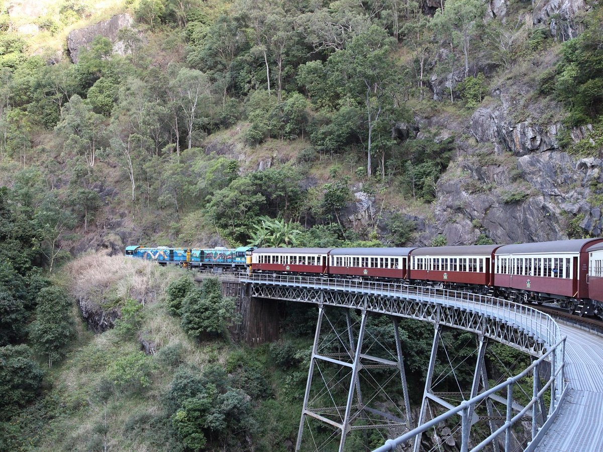 brett's kuranda tour