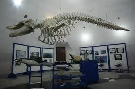 MUSEO DE LA BALLENA BAJA CALIFORNIA MEXICO