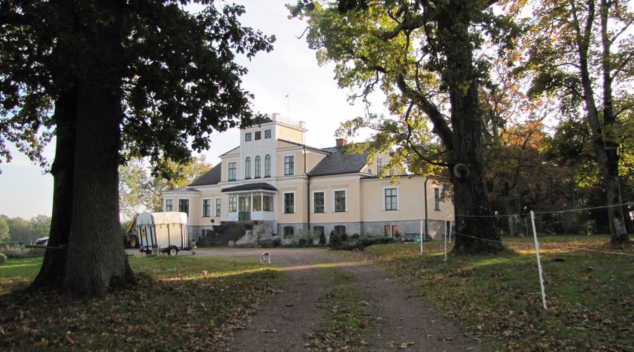 The House