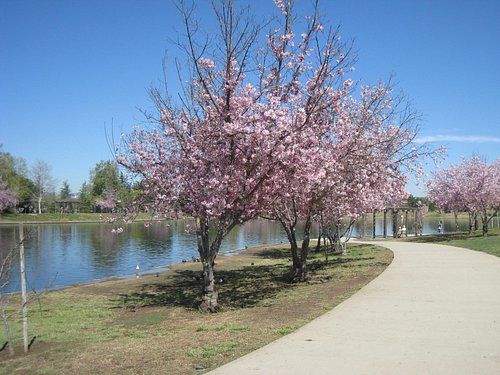 https://dynamic-media-cdn.tripadvisor.com/media/photo-o/05/9c/15/06/lake-balboa-park.jpg?w=500&h=-1&s=1